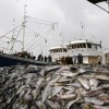 Le vote du Parlement européen contre la pêche en eaux profondes